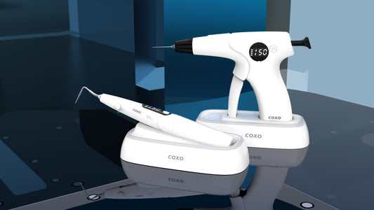 SISTEMA DE OBTURACION - COXO CFILL